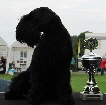 Rasseportrait