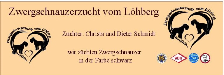 Logo Schmidt Banner NEU