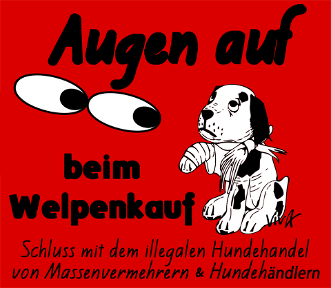 augen auf beim hundekauf